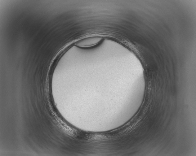 X0000081580787200702121446