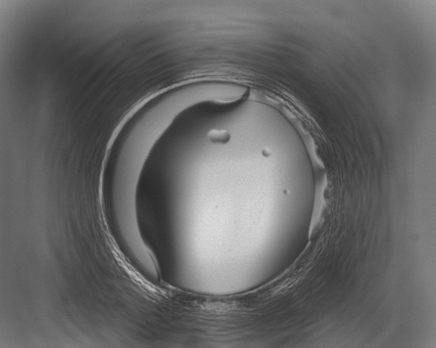 X0000081580788200702121446