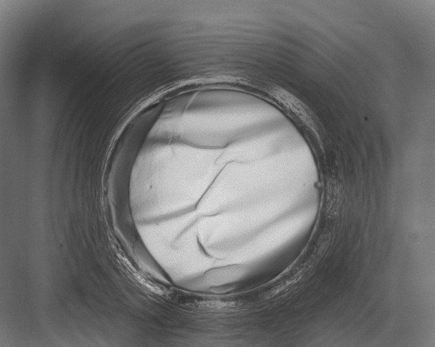 X0000081580789200702121446