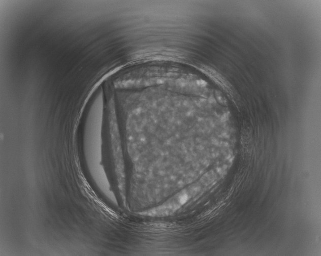 X0000081580790200702121446