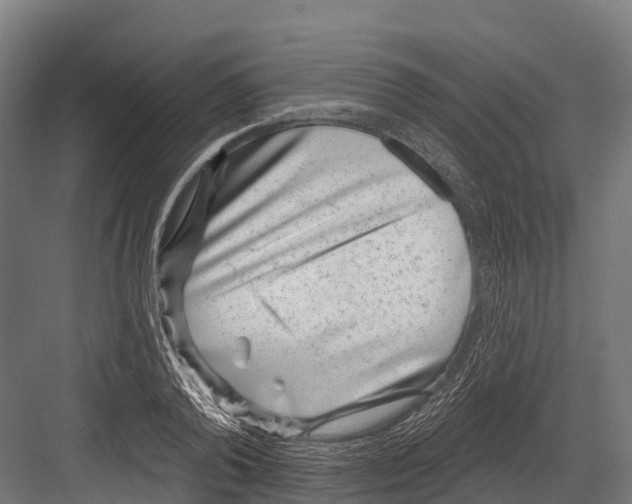 X0000081580792200702121446