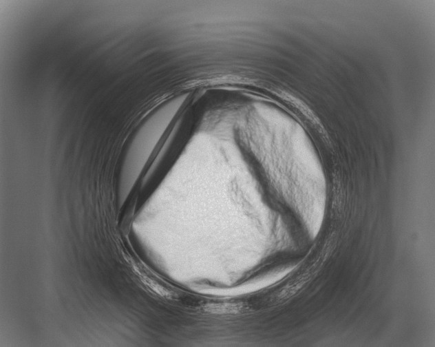 X0000081580793200702121446