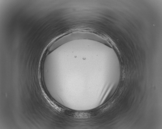 X0000081580795200702121446