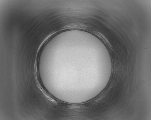 X0000081580796200702121446