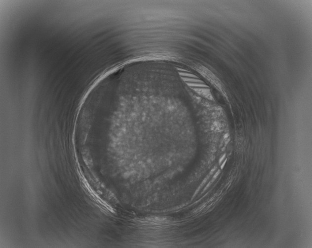 X0000081580797200702121446