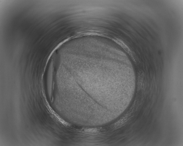 X0000081580798200702121446