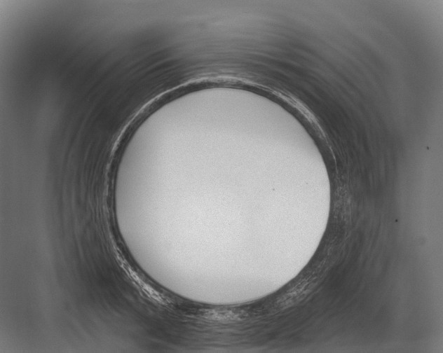 X0000081580799200702121446