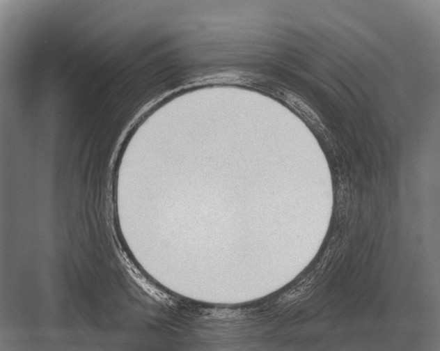 X0000081580800200702121446