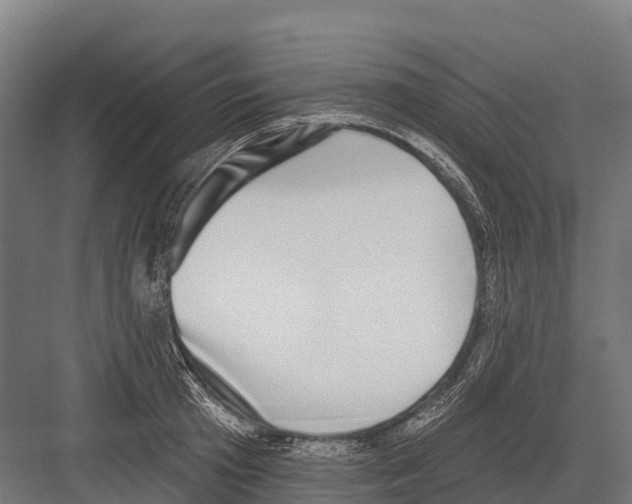 X0000081580801200702121446