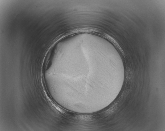 X0000081580802200702121446