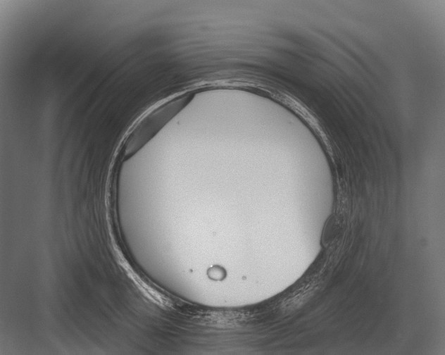 X0000081580803200702121446