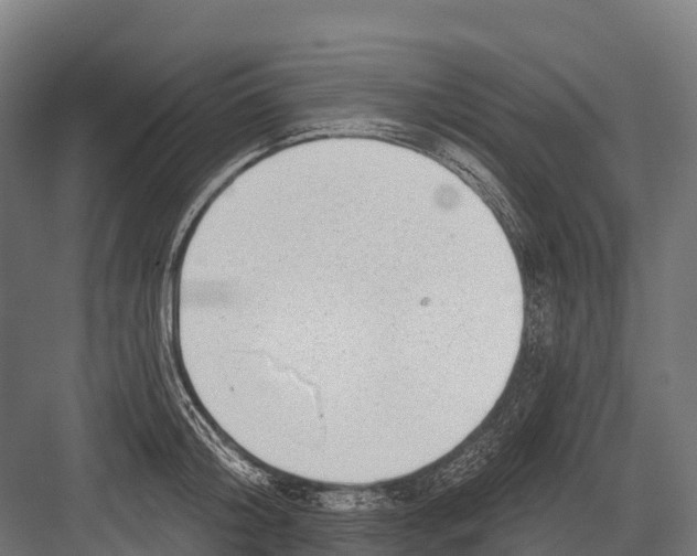 X0000081580804200702121446