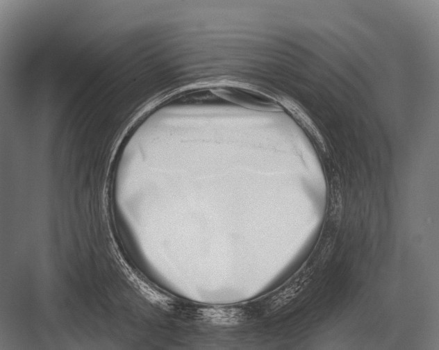 X0000081580805200702121446