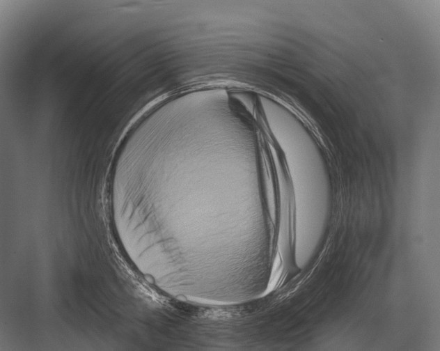 X0000081580806200702121446