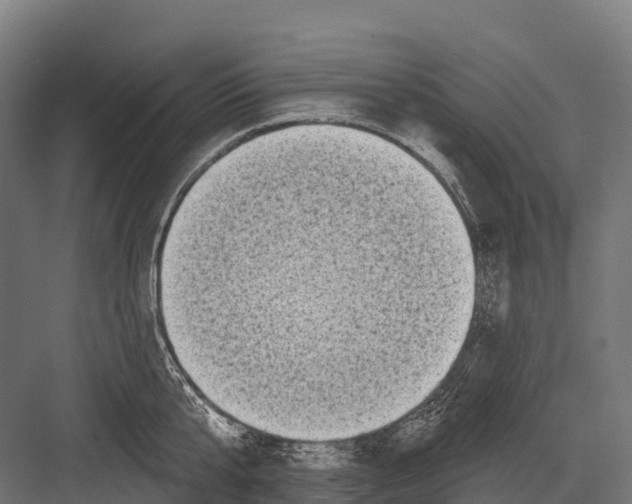 X0000081580807200702121446