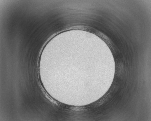 X0000081580808200702121446