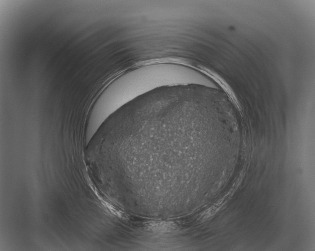 X0000081580809200702121446