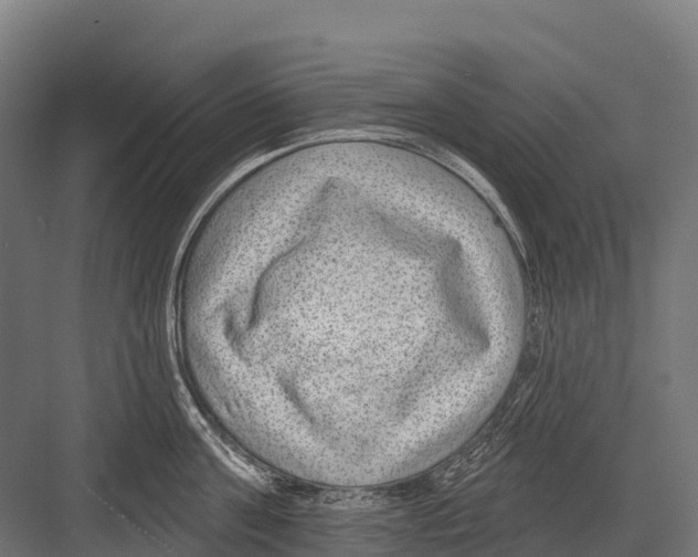 X0000081580811200702121446