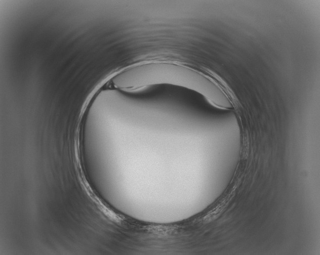 X0000081580812200702121446