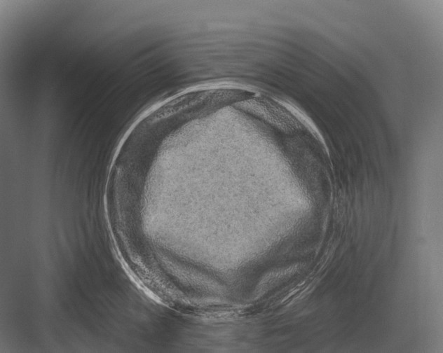 X0000081580813200702121446