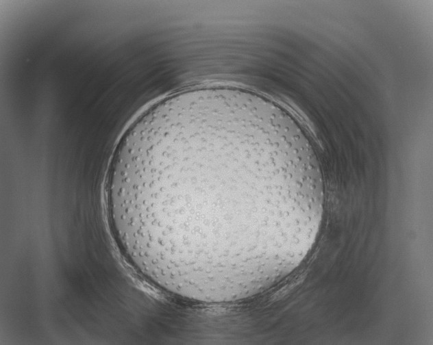 X0000081580814200702121446