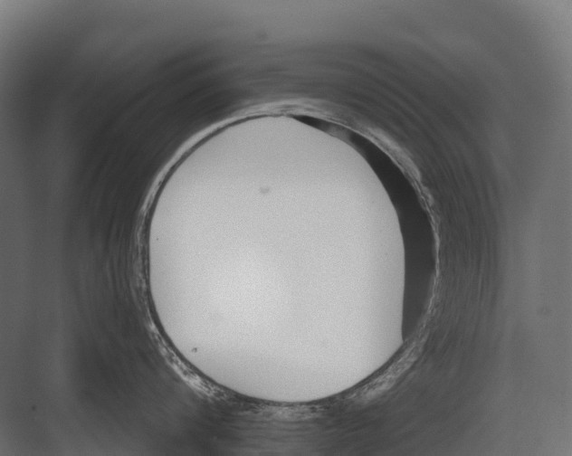 X0000081580816200702121446