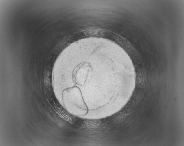 X0000081580820200702121445