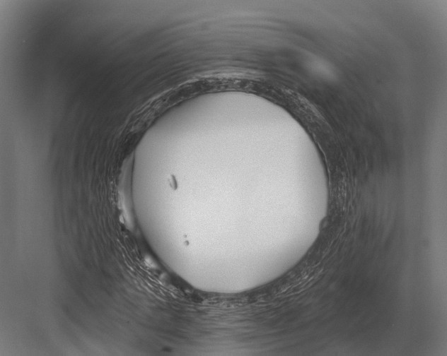 X0000081580821200702121445