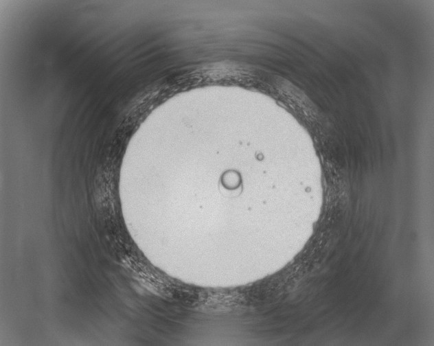 X0000081580824200702121445