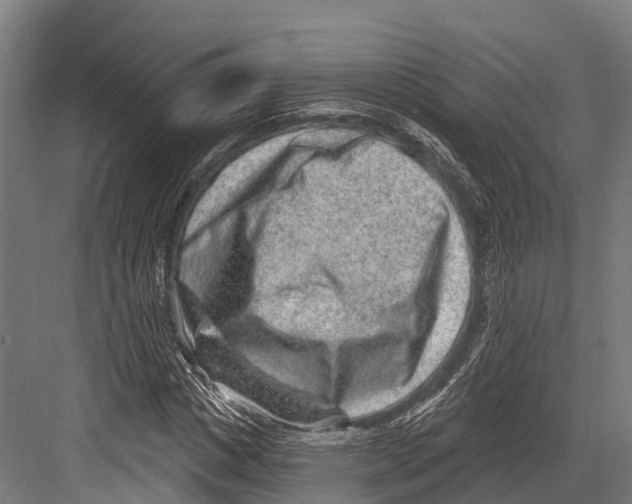 X0000081580825200702121445