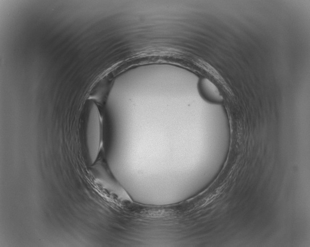 X0000081580826200702121445