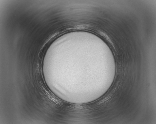 X0000081580827200702121445