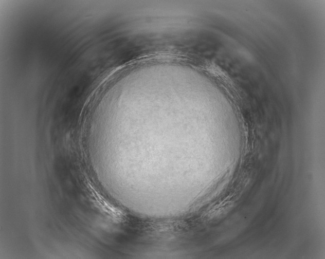 X0000081580828200702121445