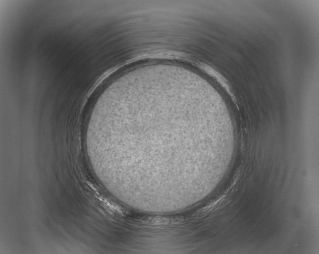 X0000081580829200702121445