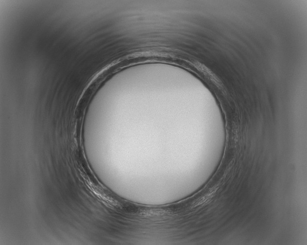 X0000081580830200702121445