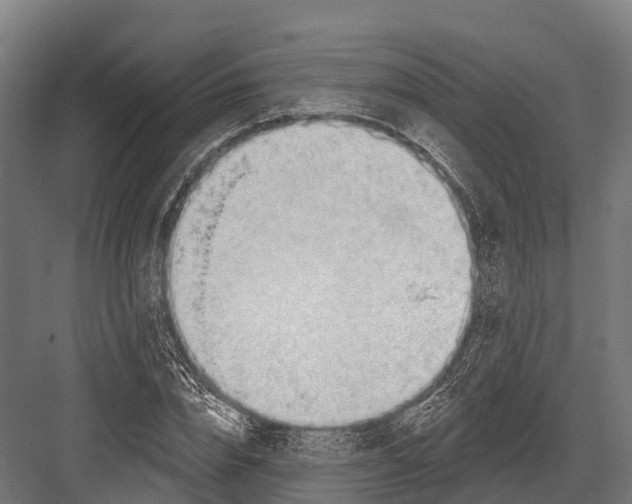 X0000081580832200702121445