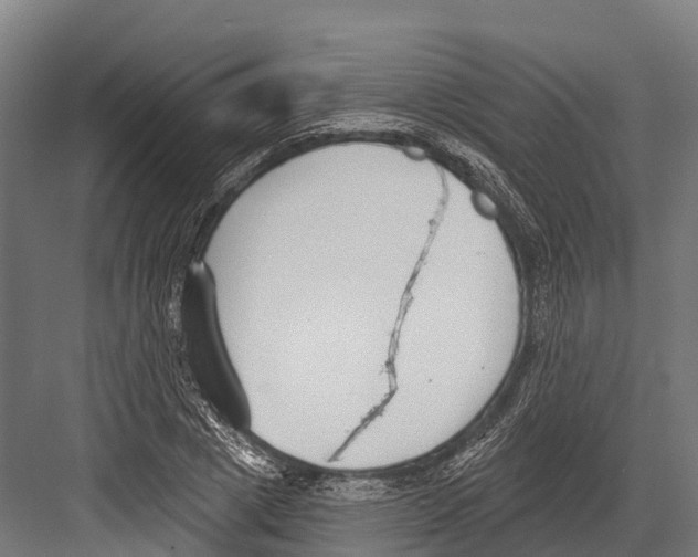 X0000081580833200702121445