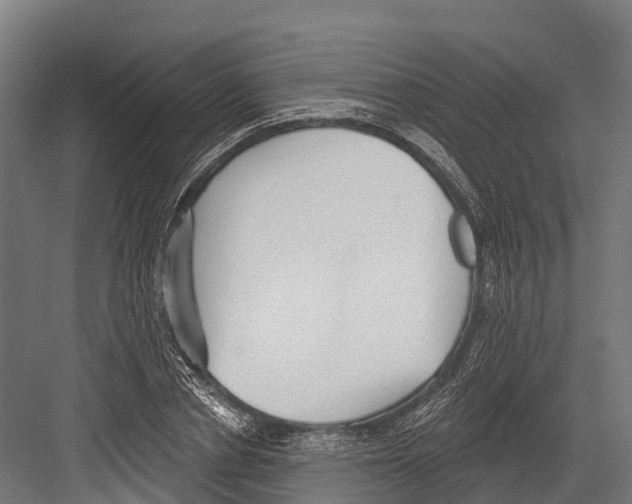 X0000081580834200702121445