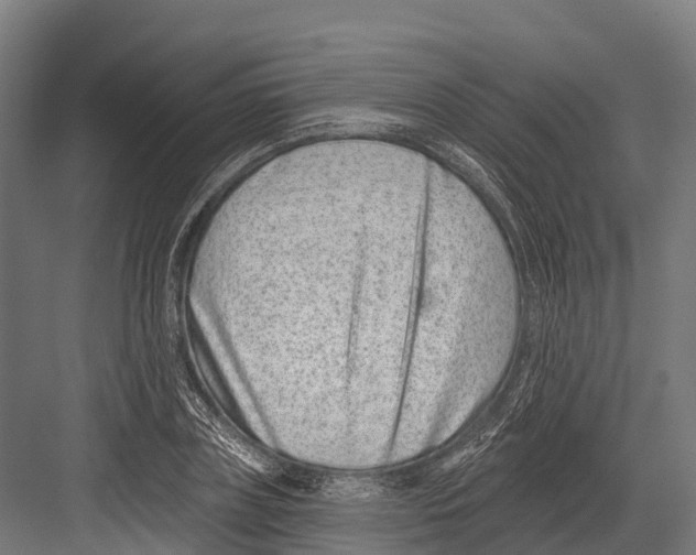 X0000081580835200702121445