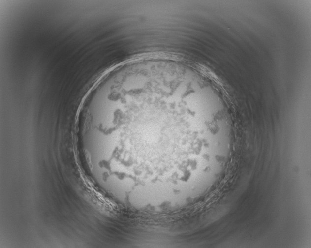 X0000081580836200702121445