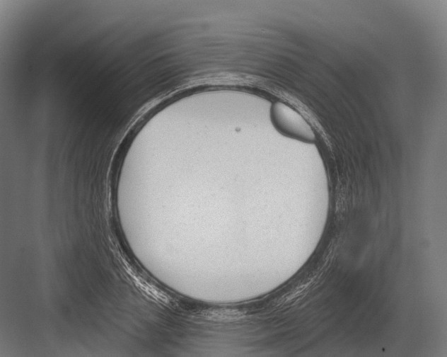 X0000081580837200702121445