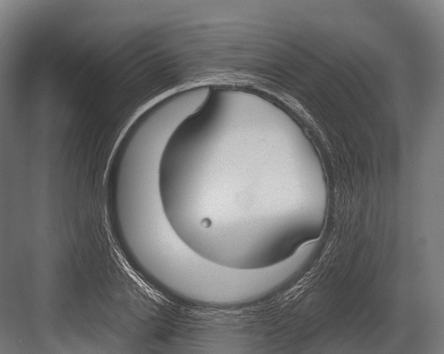 X0000081580838200702121445