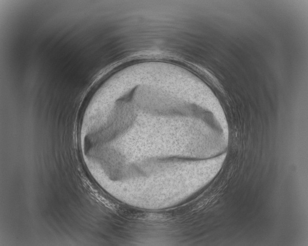 X0000081580839200702121445