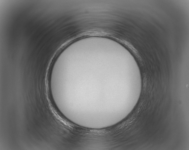 X0000081580840200702121445