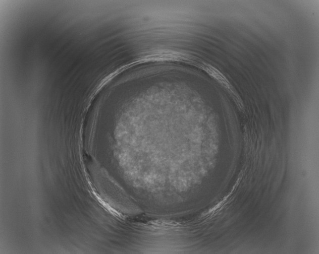 X0000081580842200702121445