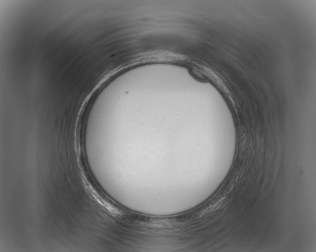 X0000081580843200702121445