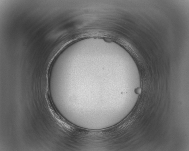 X0000081580844200702121445