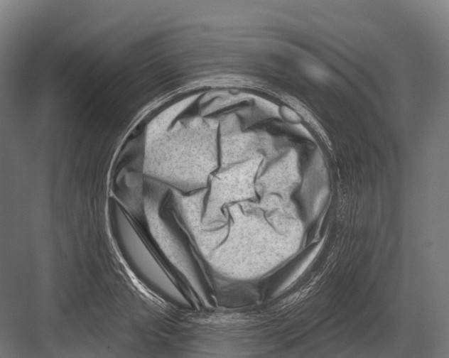 X0000081580845200702121445