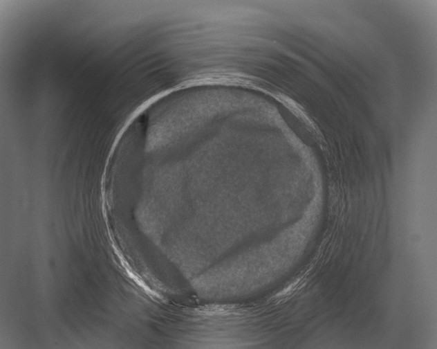 X0000081580846200702121445