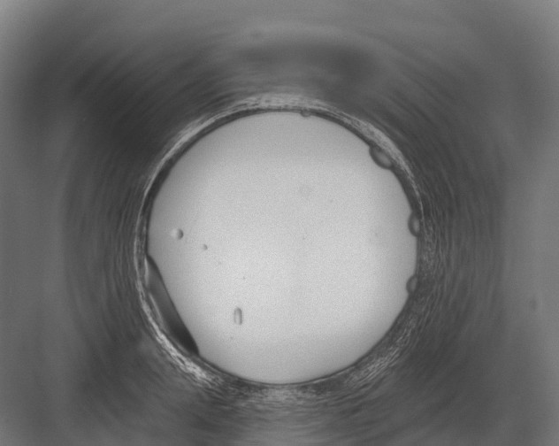 X0000081580847200702121445